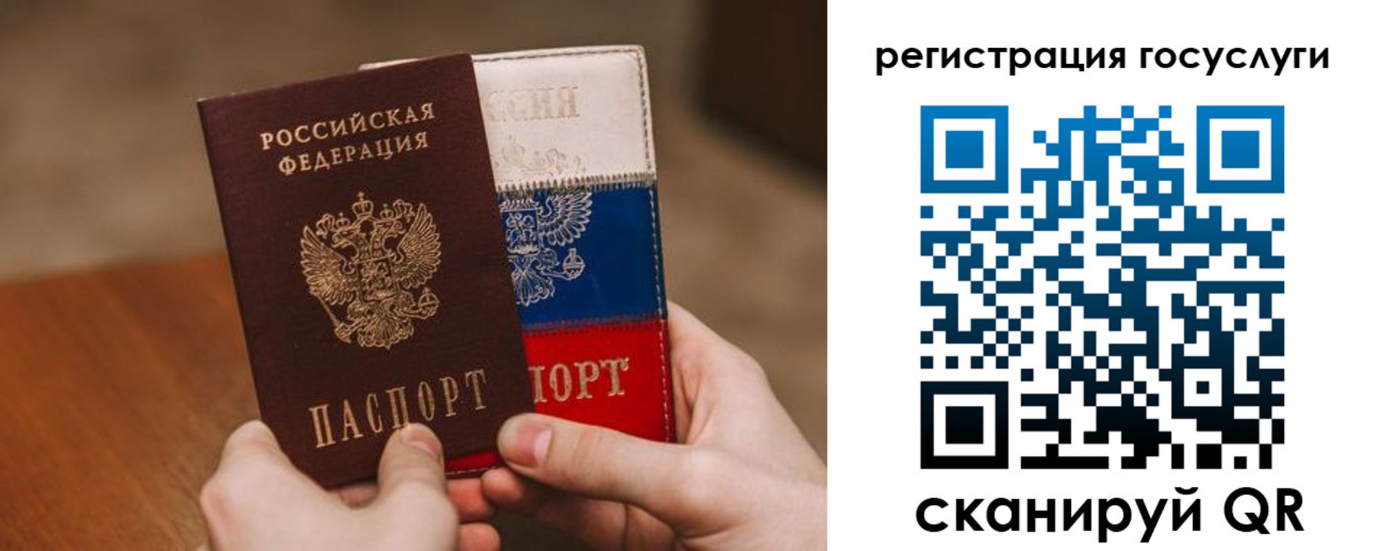 купить прописку в Мурманской области